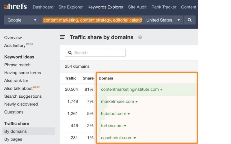 Ahrefs关键词分析工具的界面截图，显示“Traffic share by domains”结果，列出多个域名及其流量份额。