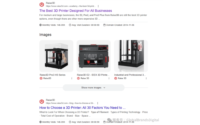 Google 搜索结果中 Raise3D 的页面排名与产品图片展示,包括 Pro3 HS 系列和 E2 IDEX 3D 打印机。