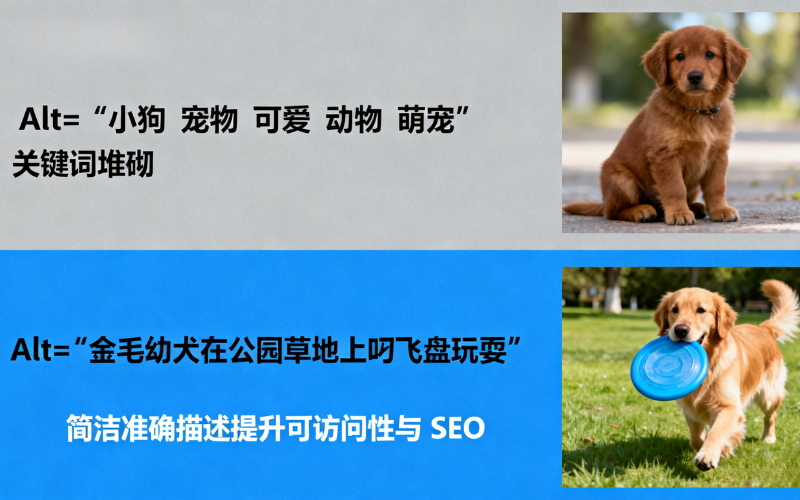 ALt优化示意图