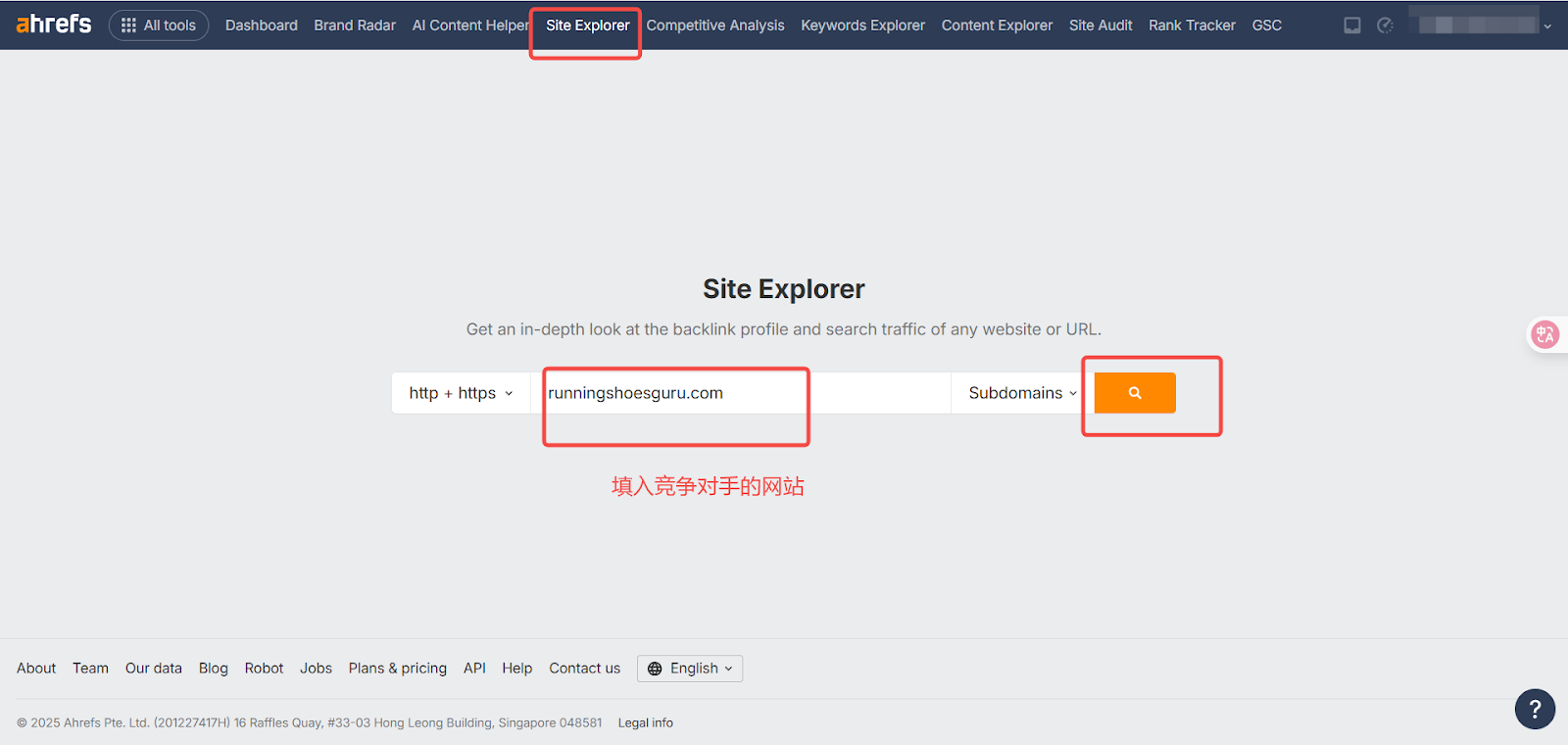 网站探查工具界面，用户可以输入网址查询相关数据。
